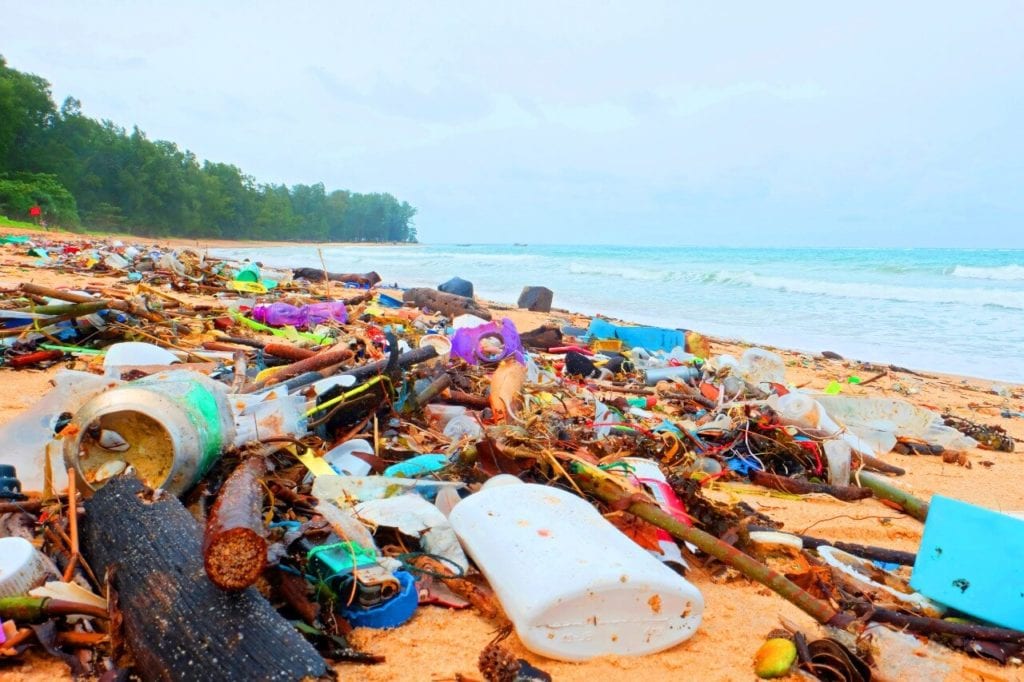 A pristine beach filled with plastic debris
